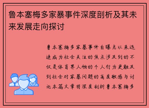 鲁本塞梅多家暴事件深度剖析及其未来发展走向探讨